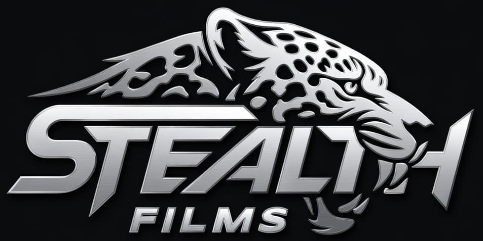Stealth Films reference for Presidential Tint's ceramic line